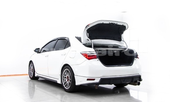 Buy Used Toyota Altis White Car in Bangkok in Bangkok Buy Used Toyota Altis White Car in Bangkok in Bangkok