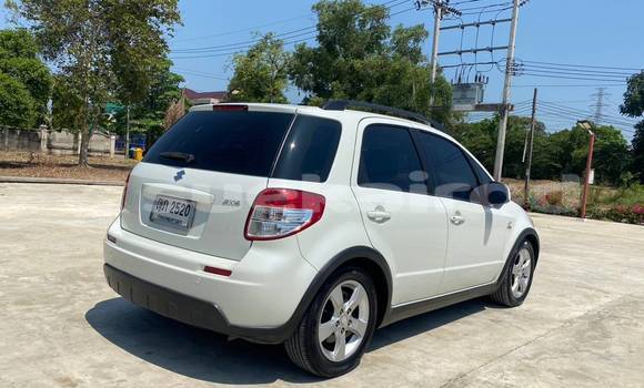 Buy Used Suzuki SX4 White Car in Bangkok in Bangkok Buy Used Suzuki SX4 White Car in Bangkok in Bangkok