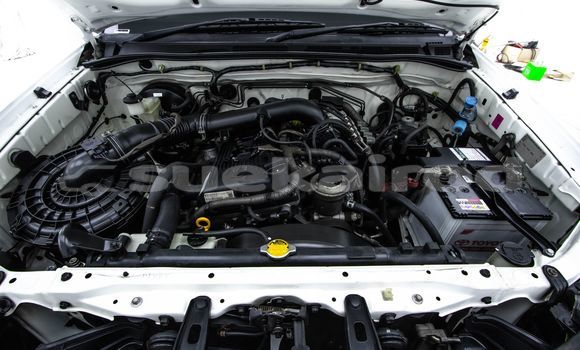 Buy Used Toyota Hiluxe VIGO White Car in Bangkok in Bangkok Buy Used Toyota Hiluxe VIGO White Car in Bangkok in Bangkok