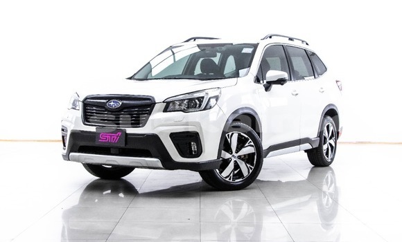 Buy Used Subaru Forester White Car in Bangkok in Bangkok