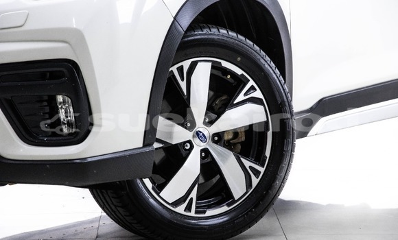 ซื้อ รถมือสอง Subaru Forester ขาว รถยนต์ ใน %{เมือง} ใน กรุงเทพมหานคร ซื้อ รถมือสอง Subaru Forester ขาว รถยนต์ ใน %{เมือง} ใน กรุงเทพมหานคร