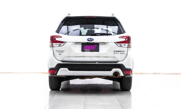 ซื้อ รถมือสอง Subaru Forester ขาว รถยนต์ ใน %{เมือง} ใน กรุงเทพมหานคร ซื้อ รถมือสอง Subaru Forester ขาว รถยนต์ ใน %{เมือง} ใน กรุงเทพมหานคร