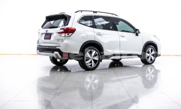 ซื้อ รถมือสอง Subaru Forester ขาว รถยนต์ ใน %{เมือง} ใน กรุงเทพมหานคร ซื้อ รถมือสอง Subaru Forester ขาว รถยนต์ ใน %{เมือง} ใน กรุงเทพมหานคร