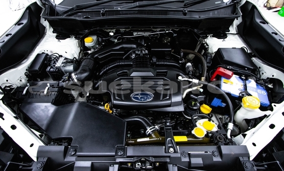 ซื้อ รถมือสอง Subaru Forester ขาว รถยนต์ ใน %{เมือง} ใน กรุงเทพมหานคร ซื้อ รถมือสอง Subaru Forester ขาว รถยนต์ ใน %{เมือง} ใน กรุงเทพมหานคร
