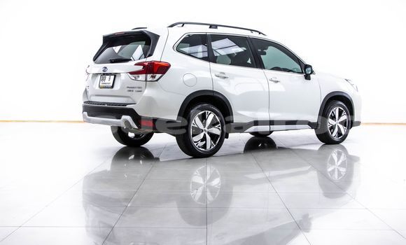 ซื้อ รถมือสอง Subaru Forester ขาว รถยนต์ ใน %{เมือง} ใน กรุงเทพมหานคร ซื้อ รถมือสอง Subaru Forester ขาว รถยนต์ ใน %{เมือง} ใน กรุงเทพมหานคร