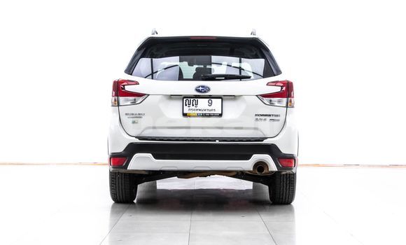 ซื้อ รถมือสอง Subaru Forester ขาว รถยนต์ ใน %{เมือง} ใน กรุงเทพมหานคร ซื้อ รถมือสอง Subaru Forester ขาว รถยนต์ ใน %{เมือง} ใน กรุงเทพมหานคร