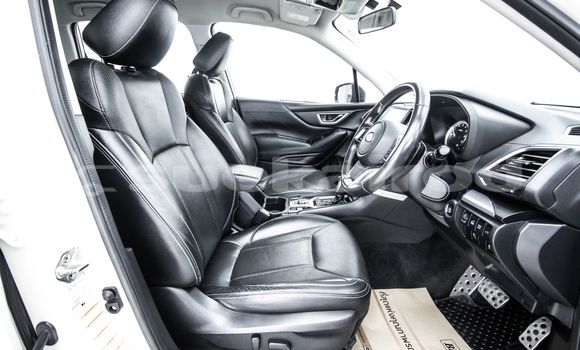 ซื้อ รถมือสอง Subaru Forester ขาว รถยนต์ ใน %{เมือง} ใน กรุงเทพมหานคร ซื้อ รถมือสอง Subaru Forester ขาว รถยนต์ ใน %{เมือง} ใน กรุงเทพมหานคร