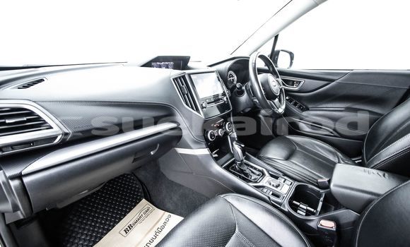 ซื้อ รถมือสอง Subaru Forester ขาว รถยนต์ ใน %{เมือง} ใน กรุงเทพมหานคร ซื้อ รถมือสอง Subaru Forester ขาว รถยนต์ ใน %{เมือง} ใน กรุงเทพมหานคร