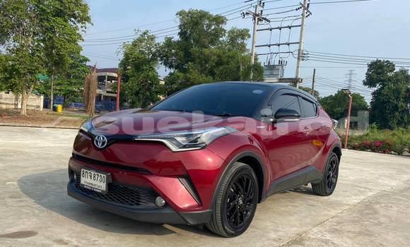 Buy Used Toyota C-HR Red Car in Bangkok in Bangkok