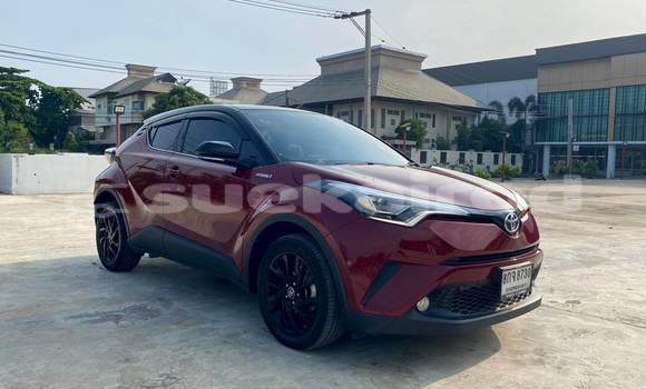 ซื้อ รถมือสอง Toyota C-HR สีแดง รถยนต์ ใน %{เมือง} ใน กรุงเทพมหานคร ซื้อ รถมือสอง Toyota C-HR สีแดง รถยนต์ ใน %{เมือง} ใน กรุงเทพมหานคร