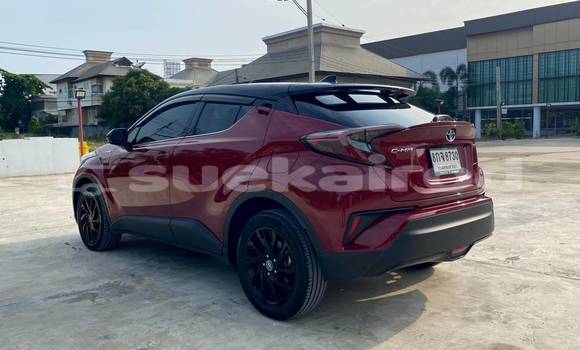 ซื้อ รถมือสอง Toyota C-HR สีแดง รถยนต์ ใน %{เมือง} ใน กรุงเทพมหานคร ซื้อ รถมือสอง Toyota C-HR สีแดง รถยนต์ ใน %{เมือง} ใน กรุงเทพมหานคร
