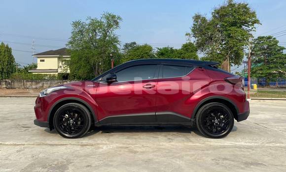 ซื้อ รถมือสอง Toyota C-HR สีแดง รถยนต์ ใน %{เมือง} ใน กรุงเทพมหานคร ซื้อ รถมือสอง Toyota C-HR สีแดง รถยนต์ ใน %{เมือง} ใน กรุงเทพมหานคร