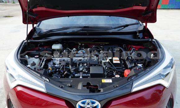 ซื้อ รถมือสอง Toyota C-HR สีแดง รถยนต์ ใน %{เมือง} ใน กรุงเทพมหานคร ซื้อ รถมือสอง Toyota C-HR สีแดง รถยนต์ ใน %{เมือง} ใน กรุงเทพมหานคร