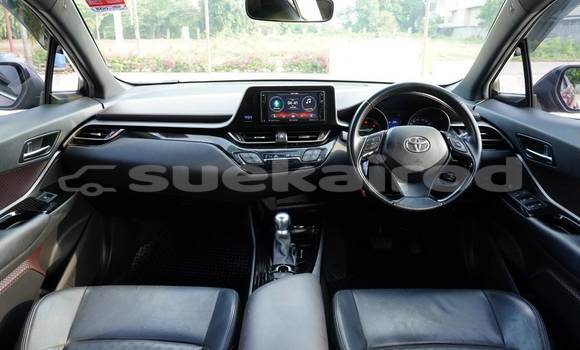 ซื้อ รถมือสอง Toyota C-HR สีแดง รถยนต์ ใน %{เมือง} ใน กรุงเทพมหานคร ซื้อ รถมือสอง Toyota C-HR สีแดง รถยนต์ ใน %{เมือง} ใน กรุงเทพมหานคร