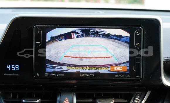 ซื้อ รถมือสอง Toyota C-HR สีแดง รถยนต์ ใน %{เมือง} ใน กรุงเทพมหานคร ซื้อ รถมือสอง Toyota C-HR สีแดง รถยนต์ ใน %{เมือง} ใน กรุงเทพมหานคร