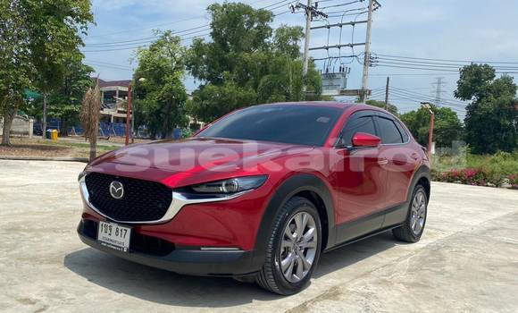 Buy Used Mazda CX-3 Red Car in Bangkok in Bangkok