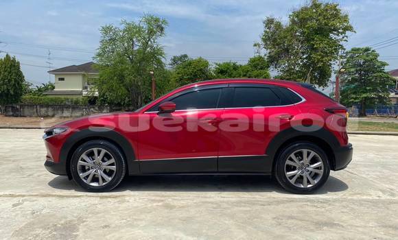 Buy Used Mazda CX-3 Red Car in Bangkok in Bangkok Buy Used Mazda CX-3 Red Car in Bangkok in Bangkok