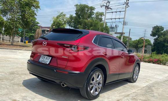 Buy Used Mazda CX-3 Red Car in Bangkok in Bangkok Buy Used Mazda CX-3 Red Car in Bangkok in Bangkok