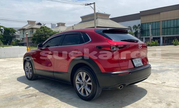 Buy Used Mazda CX-3 Red Car in Bangkok in Bangkok Buy Used Mazda CX-3 Red Car in Bangkok in Bangkok