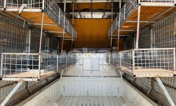 Buy Used Toyota Hiluxe Revo White Car in Bangkok in Bangkok Buy Used Toyota Hiluxe Revo White Car in Bangkok in Bangkok