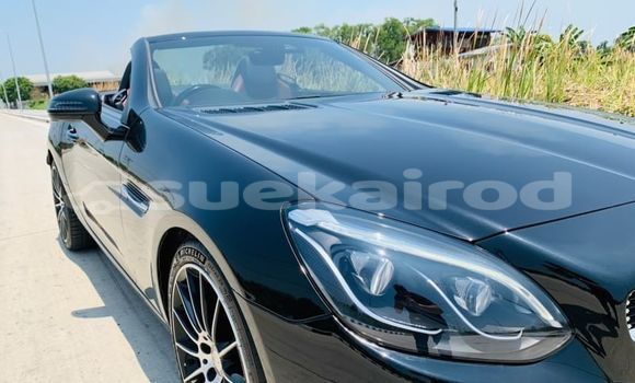 ซื้อ รถมือสอง Mercedes-Benz SLC-klasse สีดำ รถยนต์ ใน %{เมือง} ใน กรุงเทพมหานคร ซื้อ รถมือสอง Mercedes-Benz SLC-klasse สีดำ รถยนต์ ใน %{เมือง} ใน กรุงเทพมหานคร