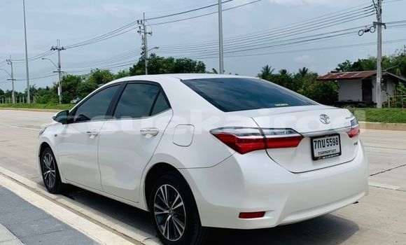 ซื้อ รถมือสอง Toyota Corolla Altis ขาว รถยนต์ ใน %{เมือง} ใน กรุงเทพมหานคร ซื้อ รถมือสอง Toyota Corolla Altis ขาว รถยนต์ ใน %{เมือง} ใน กรุงเทพมหานคร