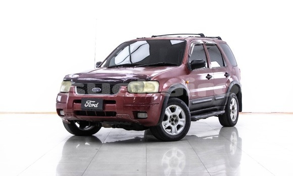 Buy Used Ford Escape Red Car in Bangkok in Bangkok