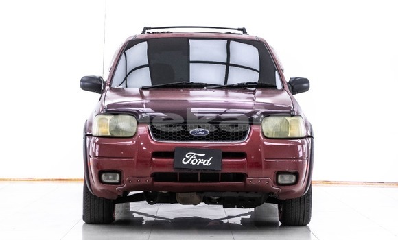 Buy Used Ford Escape Red Car in Bangkok in Bangkok Buy Used Ford Escape Red Car in Bangkok in Bangkok
