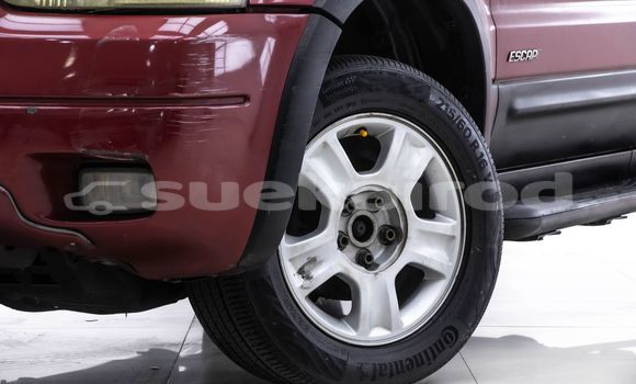 Buy Used Ford Escape Red Car in Bangkok in Bangkok Buy Used Ford Escape Red Car in Bangkok in Bangkok