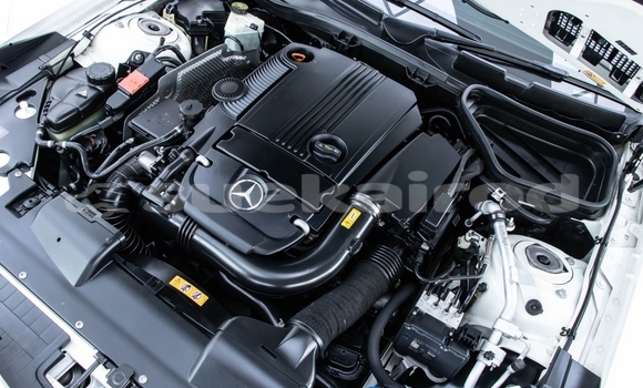 ซื้อ รถมือสอง Mercedes-Benz SLK-klasse AMG ขาว รถยนต์ ใน %{เมือง} ใน นนทบุรี ซื้อ รถมือสอง Mercedes-Benz SLK-klasse AMG ขาว รถยนต์ ใน %{เมือง} ใน นนทบุรี