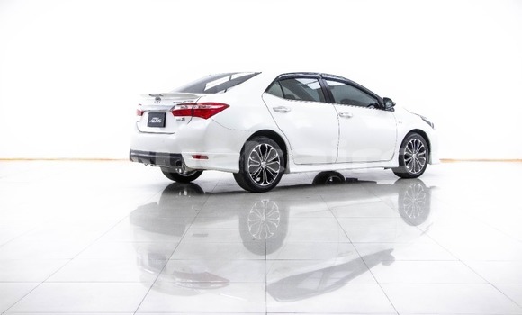 Buy Used Toyota Altis White Car in Bangkok in Bangkok Buy Used Toyota Altis White Car in Bangkok in Bangkok