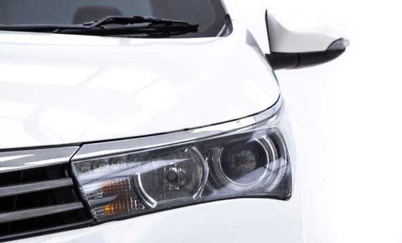 Buy Used Toyota Altis White Car in Bangkok in Bangkok Buy Used Toyota Altis White Car in Bangkok in Bangkok