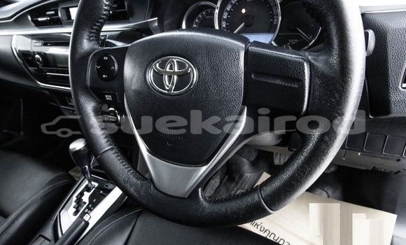 Buy Used Toyota Altis White Car in Bangkok in Bangkok Buy Used Toyota Altis White Car in Bangkok in Bangkok