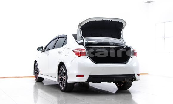 Buy Used Toyota Altis White Car in Bangkok in Bangkok Buy Used Toyota Altis White Car in Bangkok in Bangkok