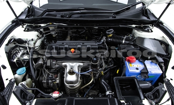 Buy Used Honda Accord White Car in Bangkok in Bangkok Buy Used Honda Accord White Car in Bangkok in Bangkok