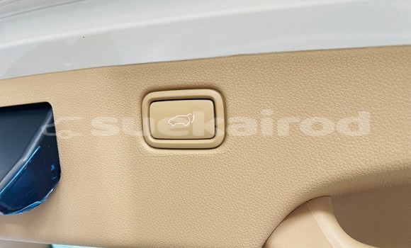 Buy Used Kia Carnival White Car in Bangkok in Bangkok Buy Used Kia Carnival White Car in Bangkok in Bangkok