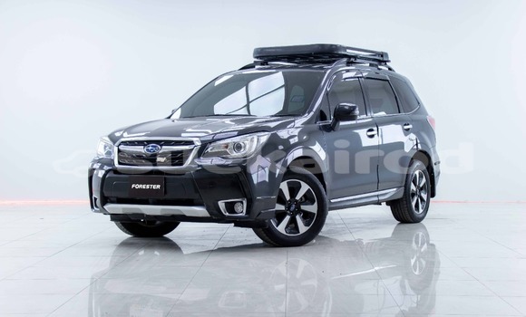 Buy Used Subaru Forester Other Car in Bangkok in Bangkok