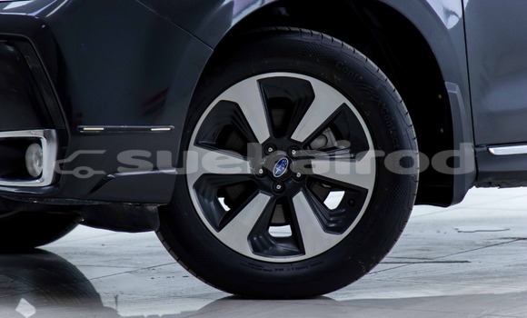 ซื้อ รถมือสอง Subaru Forester อื่น ๆ รถยนต์ ใน %{เมือง} ใน กรุงเทพมหานคร ซื้อ รถมือสอง Subaru Forester อื่น ๆ รถยนต์ ใน %{เมือง} ใน กรุงเทพมหานคร