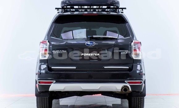 ซื้อ รถมือสอง Subaru Forester อื่น ๆ รถยนต์ ใน %{เมือง} ใน กรุงเทพมหานคร ซื้อ รถมือสอง Subaru Forester อื่น ๆ รถยนต์ ใน %{เมือง} ใน กรุงเทพมหานคร