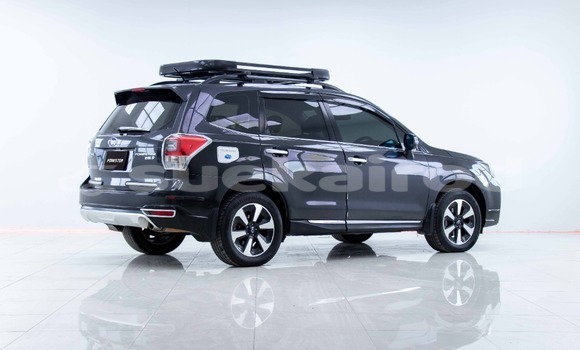 ซื้อ รถมือสอง Subaru Forester อื่น ๆ รถยนต์ ใน %{เมือง} ใน กรุงเทพมหานคร ซื้อ รถมือสอง Subaru Forester อื่น ๆ รถยนต์ ใน %{เมือง} ใน กรุงเทพมหานคร