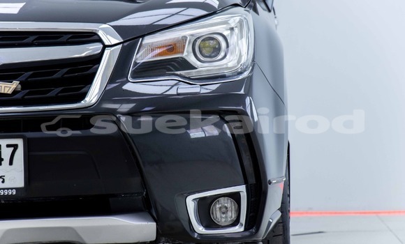 ซื้อ รถมือสอง Subaru Forester อื่น ๆ รถยนต์ ใน %{เมือง} ใน กรุงเทพมหานคร ซื้อ รถมือสอง Subaru Forester อื่น ๆ รถยนต์ ใน %{เมือง} ใน กรุงเทพมหานคร