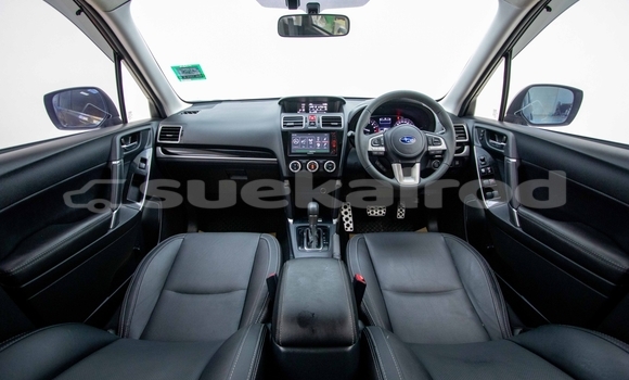 ซื้อ รถมือสอง Subaru Forester อื่น ๆ รถยนต์ ใน %{เมือง} ใน กรุงเทพมหานคร ซื้อ รถมือสอง Subaru Forester อื่น ๆ รถยนต์ ใน %{เมือง} ใน กรุงเทพมหานคร