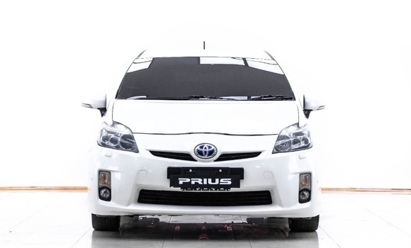 ซื้อ รถมือสอง Toyota Prius ขาว รถยนต์ ใน %{เมือง} ใน กรุงเทพมหานคร ซื้อ รถมือสอง Toyota Prius ขาว รถยนต์ ใน %{เมือง} ใน กรุงเทพมหานคร