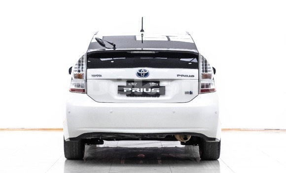 ซื้อ รถมือสอง Toyota Prius ขาว รถยนต์ ใน %{เมือง} ใน กรุงเทพมหานคร ซื้อ รถมือสอง Toyota Prius ขาว รถยนต์ ใน %{เมือง} ใน กรุงเทพมหานคร
