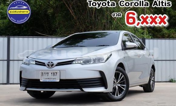 Buy Used Toyota Altis Silver Car in Udon Thani in Udon Thani