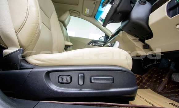 Buy Used Honda Accord Black Car in Bangkok in Bangkok Buy Used Honda Accord Black Car in Bangkok in Bangkok