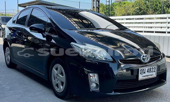 ซื้อ รถมือสอง Toyota Prius สีดำ รถยนต์ ใน %{เมือง} ใน กรุงเทพมหานคร ซื้อ รถมือสอง Toyota Prius สีดำ รถยนต์ ใน %{เมือง} ใน กรุงเทพมหานคร