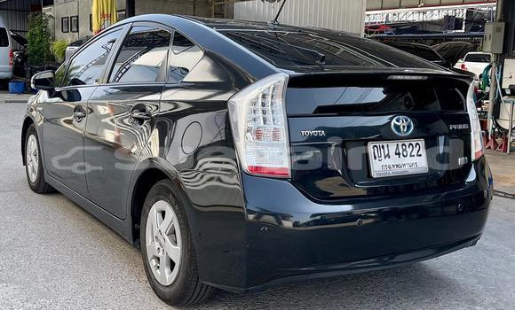 ซื้อ รถมือสอง Toyota Prius สีดำ รถยนต์ ใน %{เมือง} ใน กรุงเทพมหานคร ซื้อ รถมือสอง Toyota Prius สีดำ รถยนต์ ใน %{เมือง} ใน กรุงเทพมหานคร