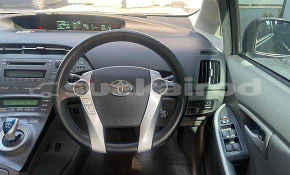 ซื้อ รถมือสอง Toyota Prius สีดำ รถยนต์ ใน %{เมือง} ใน กรุงเทพมหานคร ซื้อ รถมือสอง Toyota Prius สีดำ รถยนต์ ใน %{เมือง} ใน กรุงเทพมหานคร