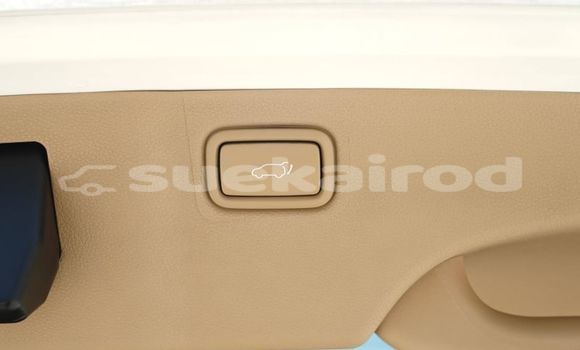 ซื้อ รถมือสอง Kia Carnival ขาว รถยนต์ ใน %{เมือง} ใน กรุงเทพมหานคร ซื้อ รถมือสอง Kia Carnival ขาว รถยนต์ ใน %{เมือง} ใน กรุงเทพมหานคร